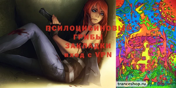 мдпв Липки