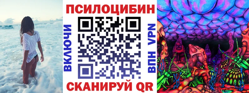darknet Telegram Фурманов Галлюциногенные грибы прущие грибы